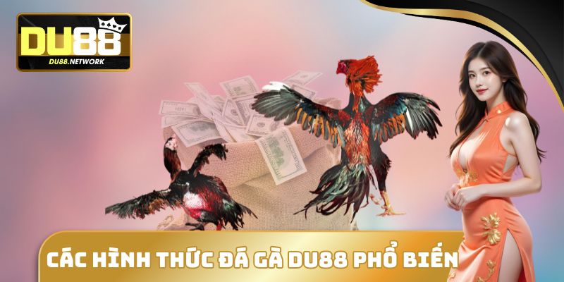 Các hình thức đá gà DU88 phổ biến