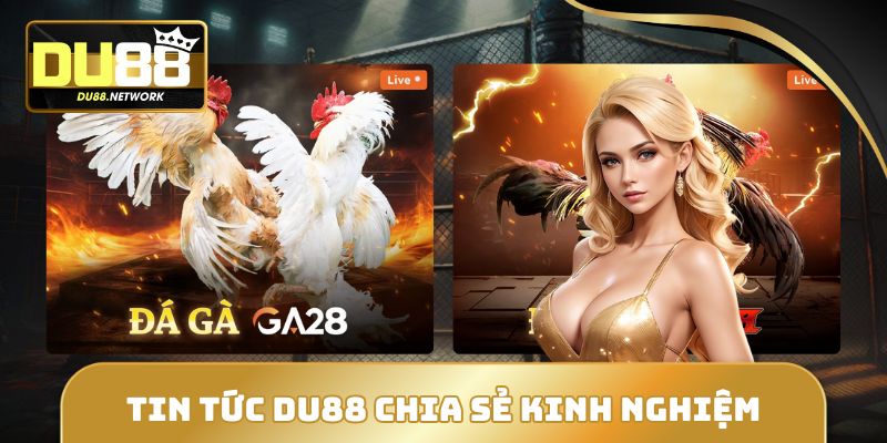 Kinh nghiệm chia sẻ được kiểm nghiệm thực tế